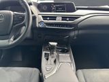LEXUS UX 250h*STYLE*1HD*VELOURS* 15J-GARANTIE*