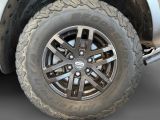 FORD Ranger Raptor Doppelkabine 4x4 2.0 StandHZG AHK Navi Leder Bi-Xenon Sperrdiff.
