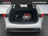 LEXUS RX 450 F-SPORT *PANO*360`KAM.*Voll*15J.Garantie