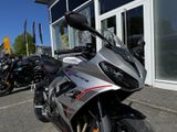 TRIUMPH Daytona 660 MY26 Quickshifter+A2 moglich