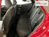 FORD Puma Titanium 360 Kamera Winterpaket LED ACC Navi