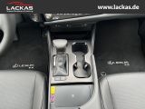 LEXUS ES 300 h BUSINESS SHZ+SCHIEBEDACH+NAVI+PDC