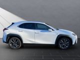 LEXUS UX 250h F-Sport Design CarPlay+NAVI+Sitzheizung
