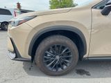 LEXUS NX 350h E-Four*Overtrail*Panoramadach 350H