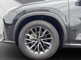 LEXUS NX 350h Business Connect Paket+360CAM+Sitzbelüf.