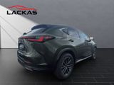 LEXUS NX 350h Business Connect Paket+360CAM+Sitzbelüf.