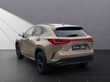 LEXUS NX 350h E-Four Overtrail*PANORAMA*MARKLEVINSON*