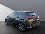 LEXUS UX 250h F-SPORT Design ALLWETTER+1.Hand