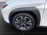 LEXUS UX 250 h Style Edition*Navi*11J.Garantie*
