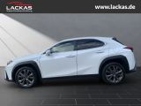 LEXUS UX 300h F-SPORT DESIGN*TOTW*FA CELIFT*GARANTIE*