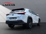LEXUS UX 250h *lenkH*sitzH*Kamera*