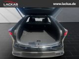 LEXUS RX 450 h+ F Sport Design Panoramadach