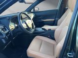 LEXUS UX UX250h*F-SPORT-D.*1HD*NAVI*SHZ 15J-GARANTIE*