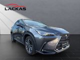 LEXUS NX 350h 4x4 Luxury IPA+360KAMERA+SITZH.HINTEN