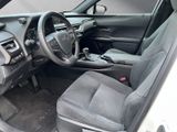 LEXUS UX 250h*F-Sport D.*1HD*SHZ*NAVI*CARPLAY*