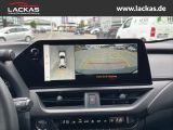 LEXUS UX 300h F-Sport Navi LED ACC Apple CarPlay