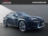 LEXUS UX 250h 250 h 250h*LED*KAMERA* TOP*TWW*DAB*SERVI