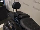Harley Davidson Sportster S Zard Sozius Seitl. KZ Halter