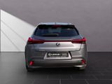 LEXUS UX 250 h*KAMERA*