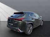 LEXUS UX 250h F Sport Design 15J-GARANTIE*