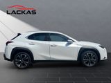 LEXUS UX 250 h*EXECUTIVE*HUD*LEDER*SCHIEBEDACH