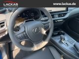 LEXUS UX 300h F-SPORT-D.*SOFORT *15JH-GARANTIE*