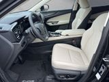 LEXUS NX 350h Luxury Line 4x4 PANORAMASCHIEBEDACH