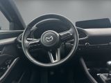 MAZDA 3 Homura 2 PDC RFK SHZ BT
