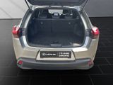 LEXUS UX 250h*STYLE*FACELIFT* *CARPLAY*GARANTIE