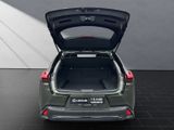 LEXUS UX 250h*FSPORT-D*1.HD*ALLW.REIF*SHZ* NAVI*CARPL*