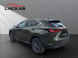 LEXUS NX 350h Executive Line 2.5*360° Kamera*Memorysit