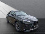 LEXUS NX450H+ Executive Panorama Int+Technologie Paket