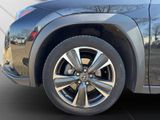 LEXUS UX 250h Style SHZ Kamera Alu