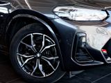 BMW X3 xDrive20i M Sport, Anhängerkupplung, Shadow-Line