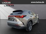 LEXUS NX 350h h 243 PS Executive Inter ieur Paket + Te