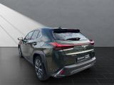 LEXUS UX 250h*F-SPORT-D*1.HD*ALLW.REIF** 15J-GARANTIE*