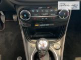 FORD Puma ST-Line LED Klimaautom Temp Navi Winterpaket PDC BT DAB