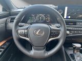 LEXUS ES 300 h*BUSINESS*SOFORT 15J-GARANTIE
