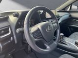 LEXUS UX 250 h*LED*TOP* KAMERA*NAVI*FACELIFT
