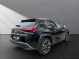 LEXUS UX 250h*STYLE*1HD*VELOURS* 15J-GARANTIE*