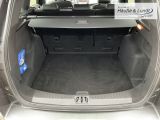 FORD Kuga ST-Line Allwetterreifen Navi Beheizb. Frontsch.