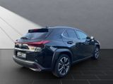 LEXUS UX 250h*EXECUTIVE*PANO*PREMIUM*1HD*PANO* HUD*