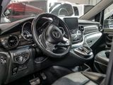 MERCEDES-BENZ V 250 MARCO POLO HORIZON EDITION ALLRAD 360°/DISTRO/E-TÜREN