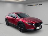 MAZDA CX-30 Homura 2WD AHK+BOSE+NAVI+360°KAMERA+LHZ