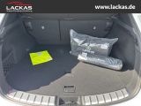 LEXUS NX 350 h 243 PS ** 15Jahre Gara ntie ** Connect 