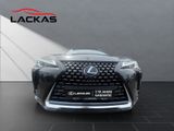 LEXUS UX 250h*LAUNCH*SHZ*CD*NAVI* 15J-GARANTIE*