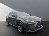 LEXUS NX 350h Executive Line 350h