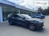 FORD M Mustang Mach-E GT AWD Panorama Navi AHK Memory Sitze Soundsystem B & O