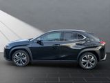 LEXUS UX 250h*EXECUTIVE*PANO*PREMIUM*1HD*PANO* HUD*
