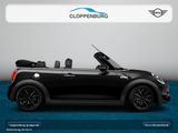 MINI Cooper S Cabrio Navi+SHZ+Klimaaut.+LED+Ambi+Temp